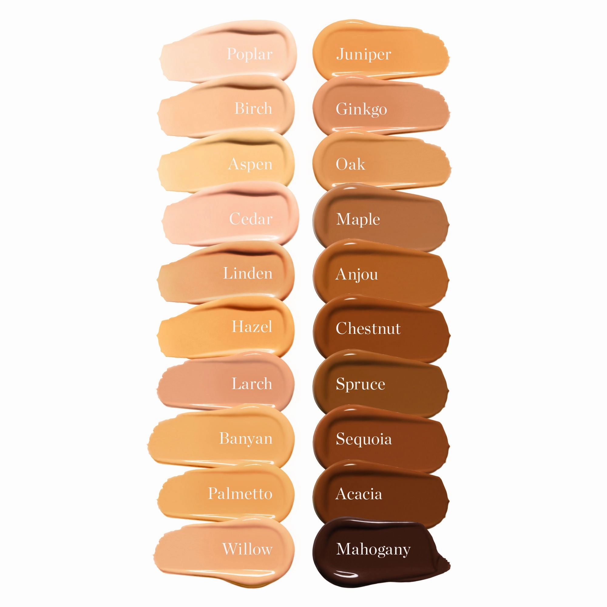 Complexion Perfecting Tinted Serum