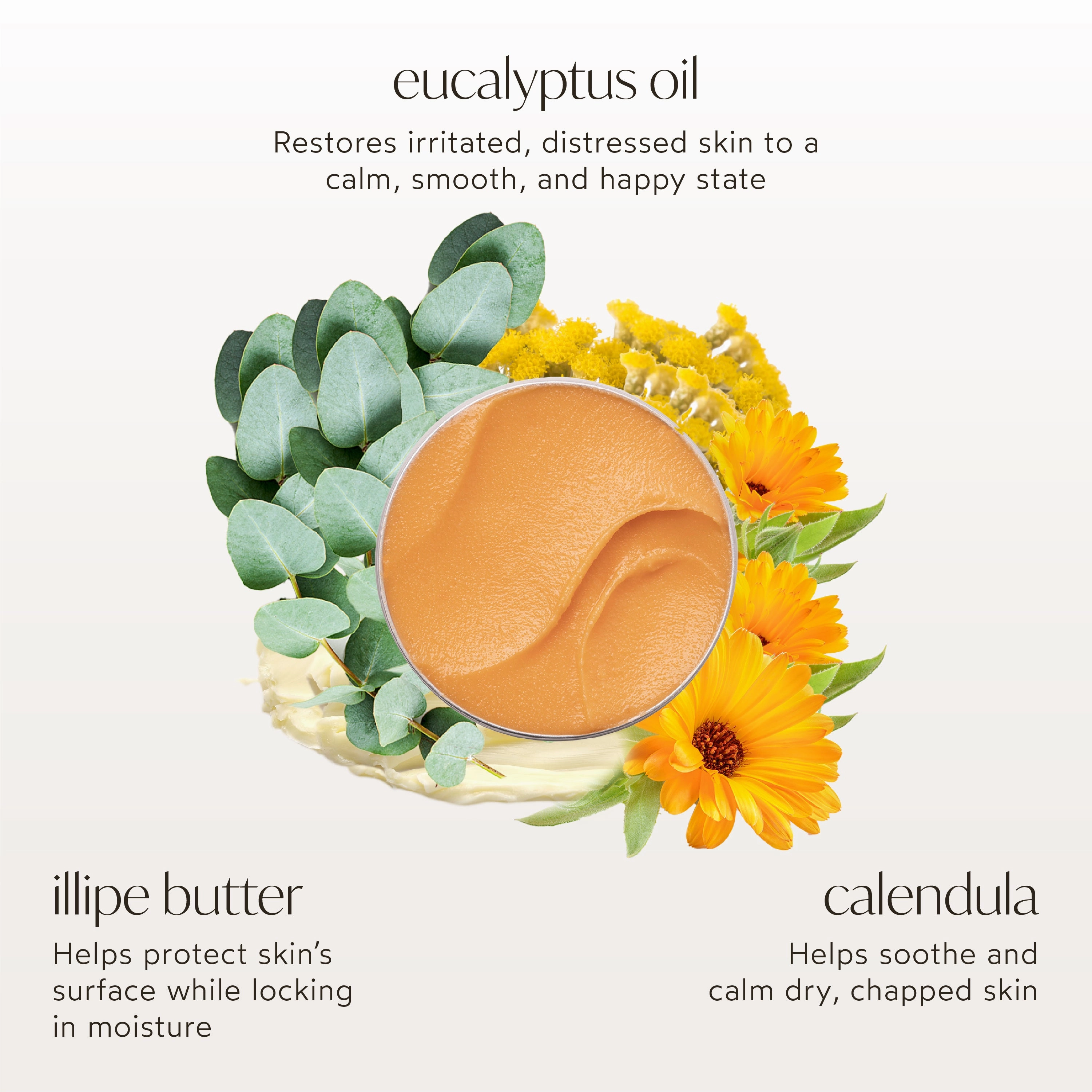 Everything Rescue Balm